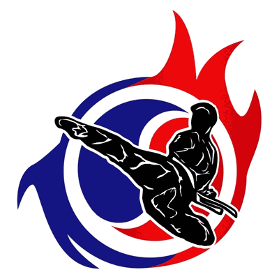 Taekwondo Masters Academy Singapore logo